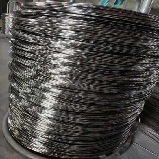 Chinese Factory Cold Drawing Wire Round Wire Metal Wire 301 Wire Rod Welding Wire Stainless Steel Wire